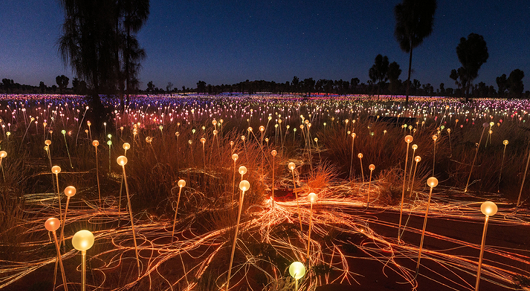 Bruce Munro's Field of Light