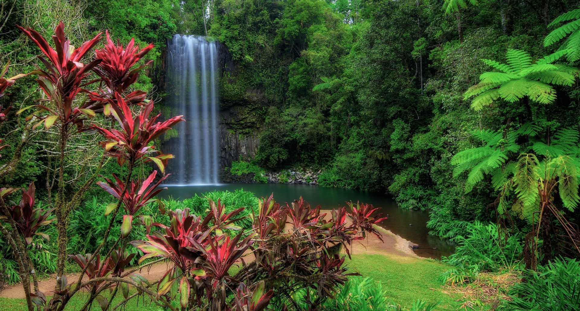 Millaa Millaa Falls