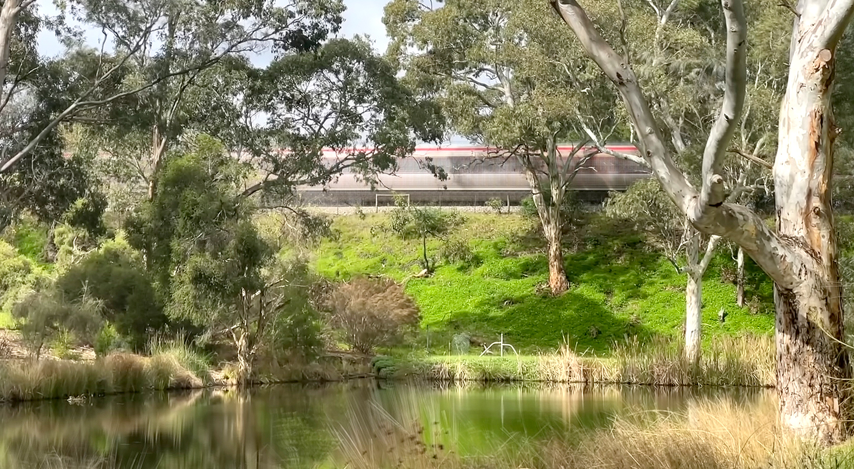 Train passing near Wittunga Botanic Garden