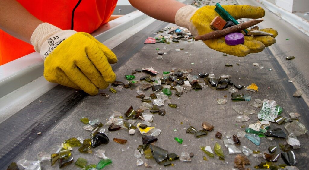 Glass sorting at recycling plant