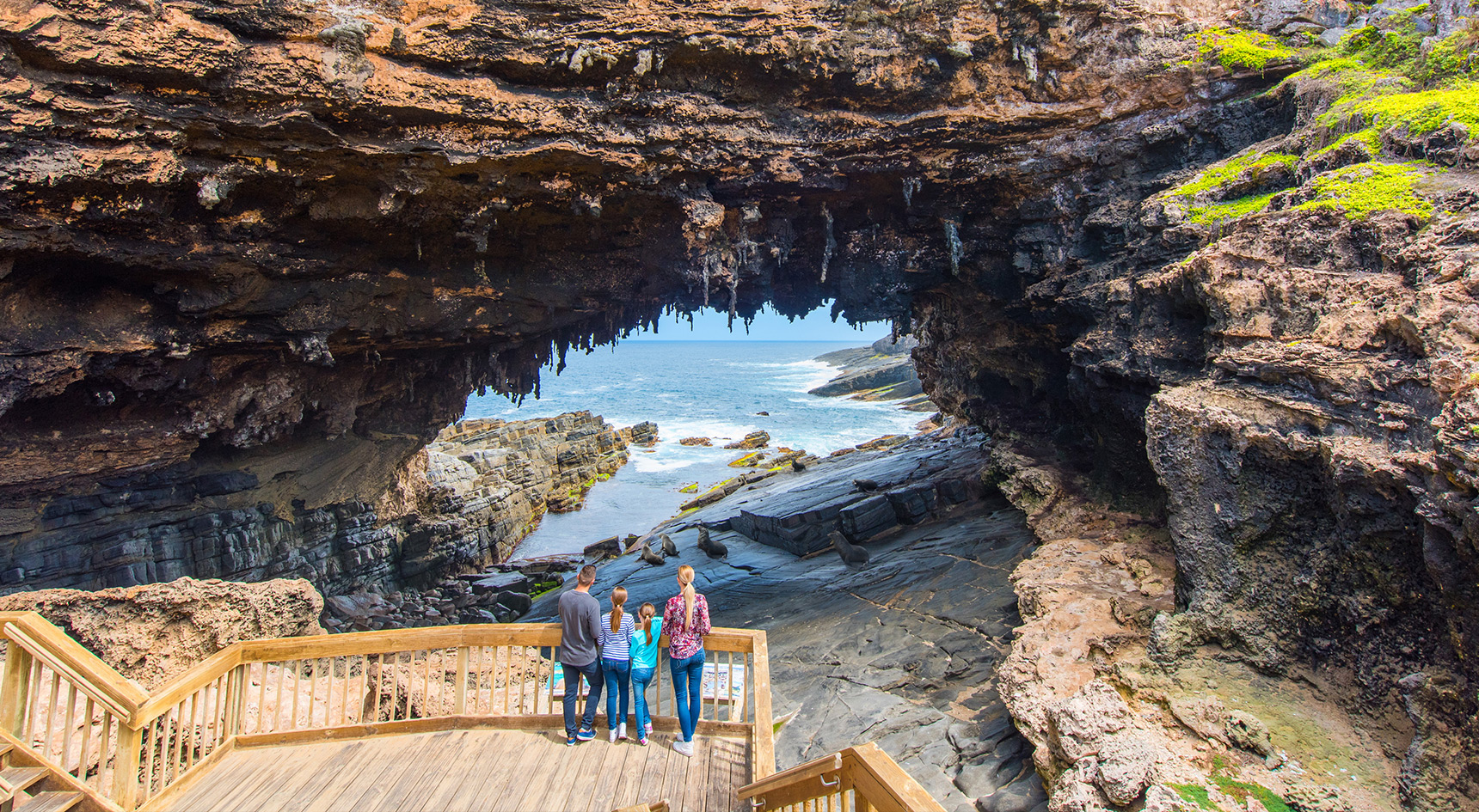 Admirals Arch with people looking at seals