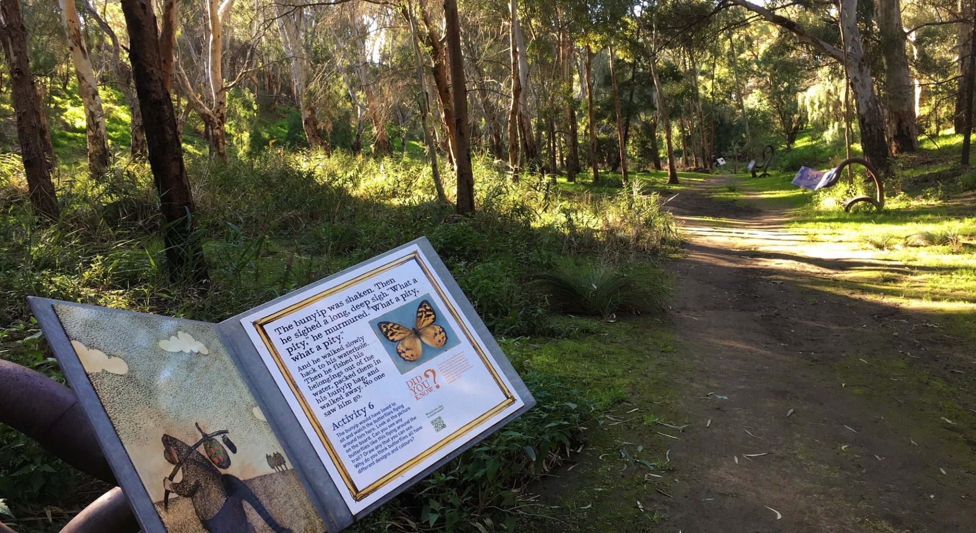 Bunyip Trail among the trees