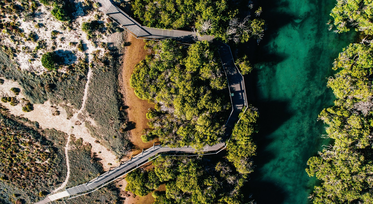 Arno Bay Mangrove Boardwalk