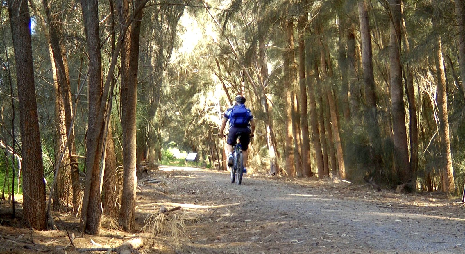 Riding the Rattler Trail