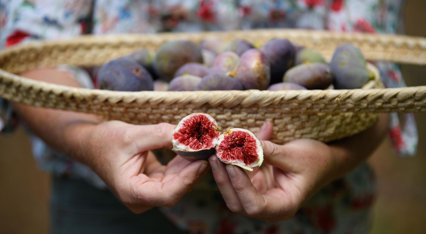 A person pulling a fig apart.