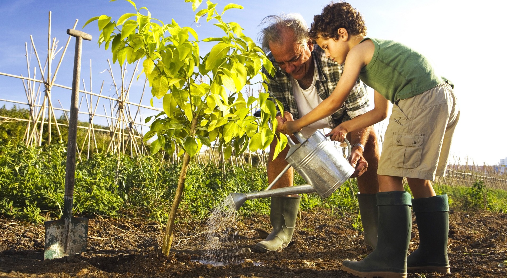 Man and boy watering tree