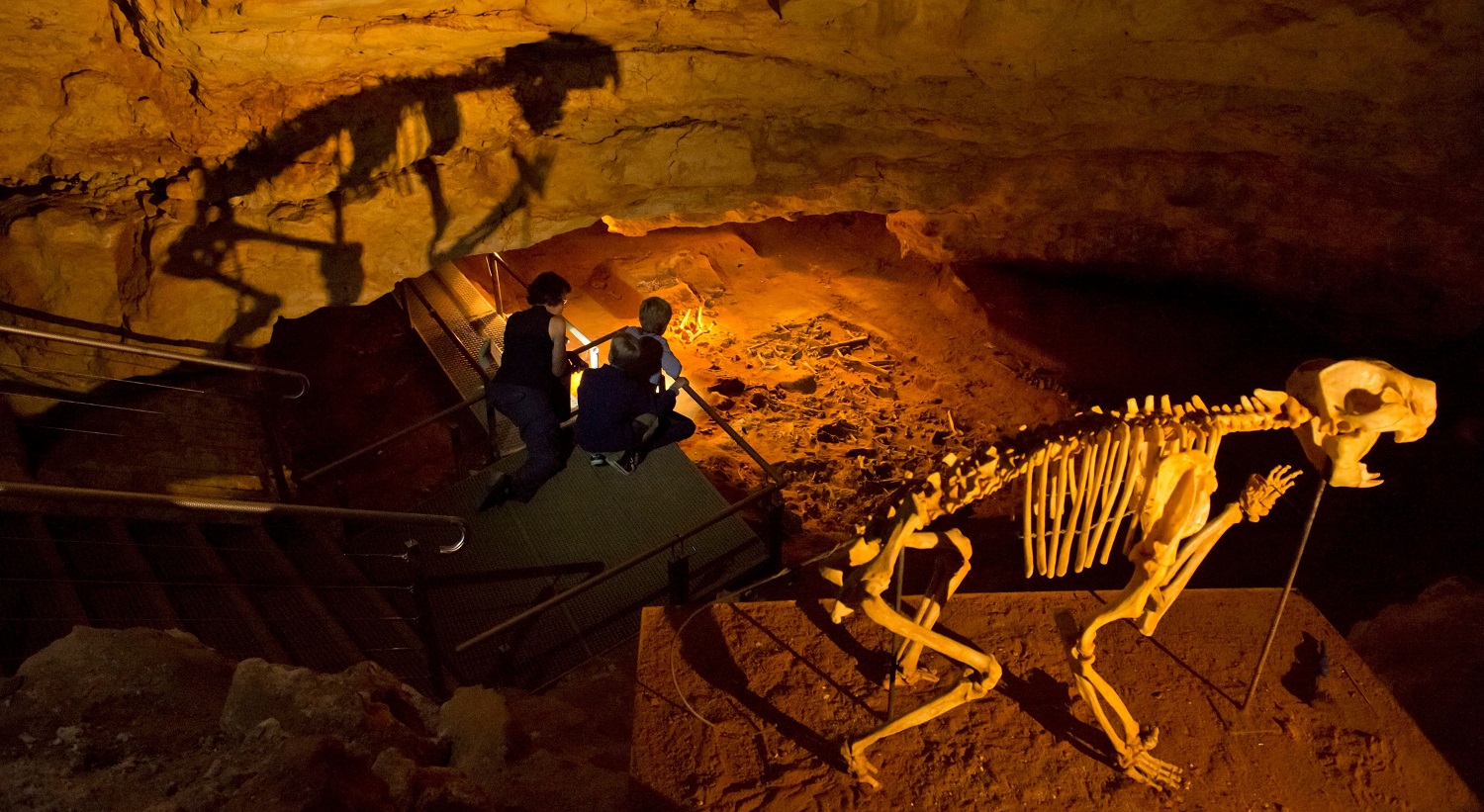 Fossil Cave, Naracoorte
