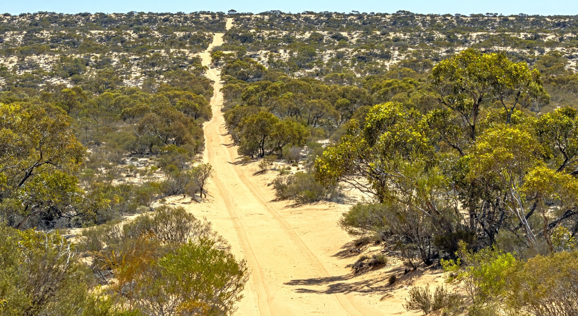 dunes on Googs Track