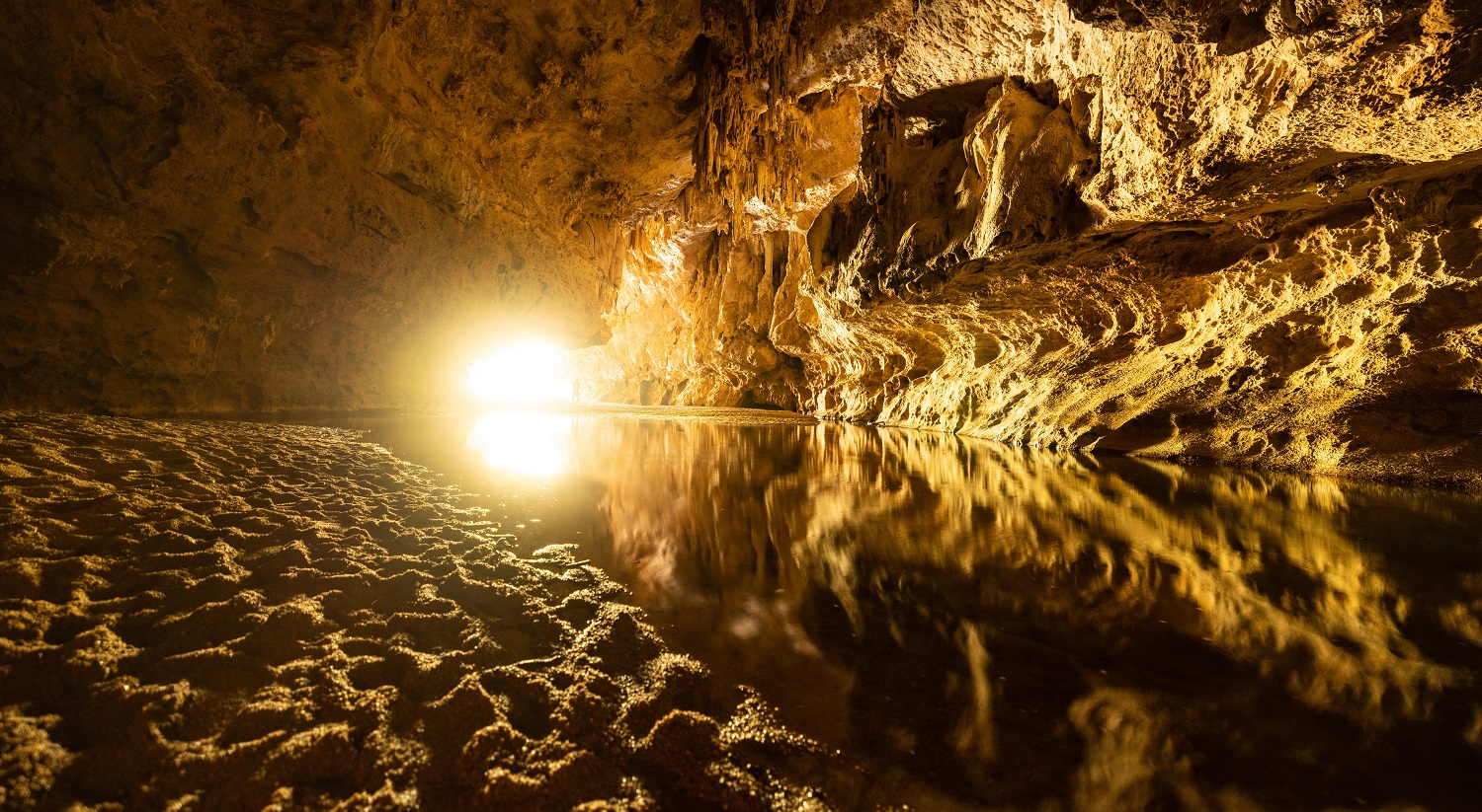 Torchlight in Tunnel Creek