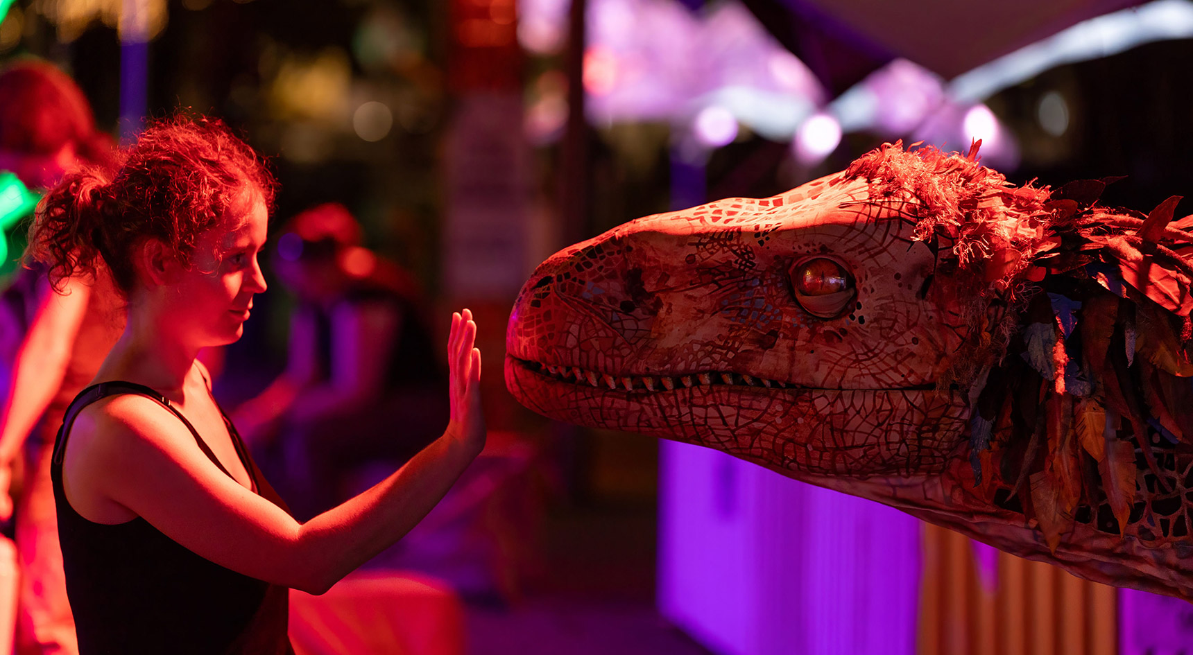 Illuminate Adelaide Universal Kingdom