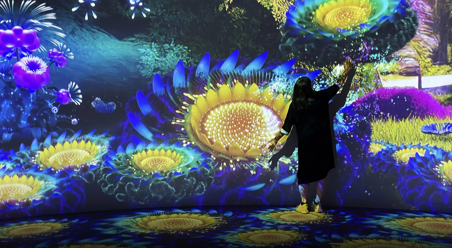 Eden Illuminate Adelaide